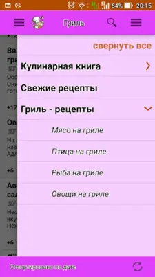 Гриль кулинарные рецепты блюд android App screenshot 4